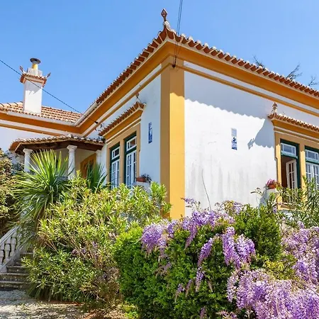 Quarto em Acomodações Particulares Violeta Com Chamine