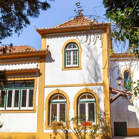 Violeta Com Chamine Ramalhal