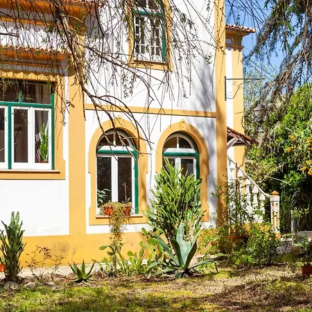 Violeta Com Chamine * Ramalhal