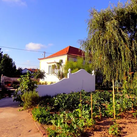 Quarto em Acomodações Particulares Violeta Com Chamine Ramalhal