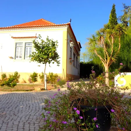 Violeta Com Chamine Quarto em Acomodações Particulares