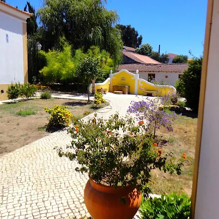 Violeta Com Chamine Ramalhal