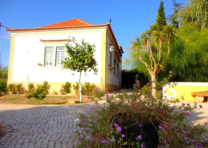 Violeta Com Chamine Privat bolig